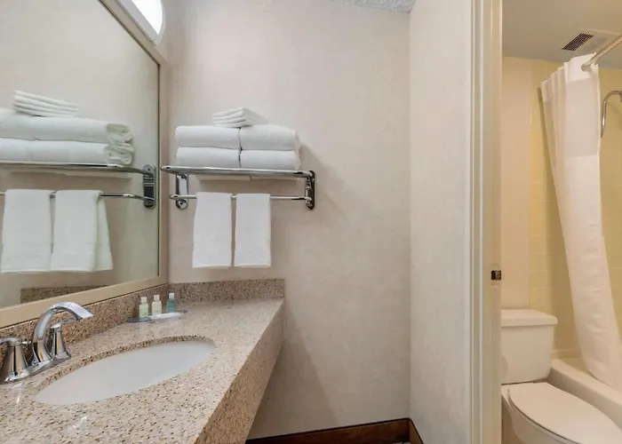 Clarion Hotel Anaheim Resort